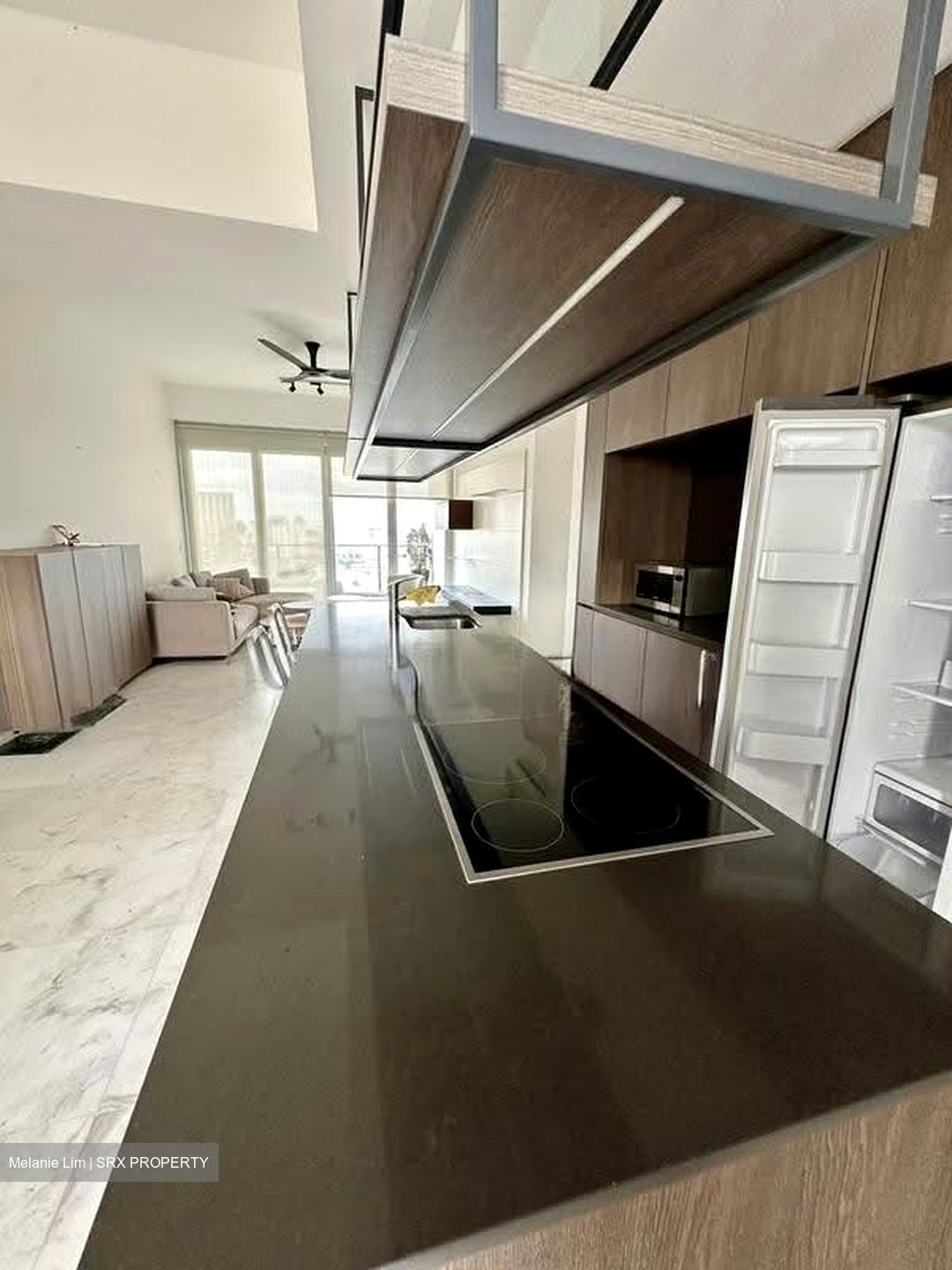 Newton One (D11), Condominium #634653571